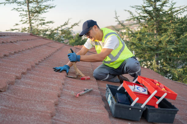Best Roof Maintenance Services  in Tremont, IL